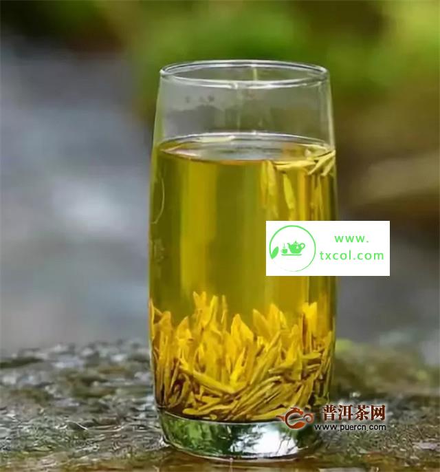 爱茶人必知的最全茶叶冲泡法