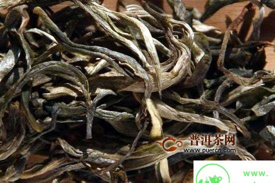 大叶种茶的分布