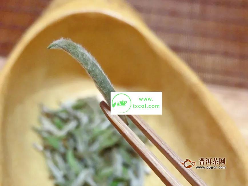 茶叶上的毫毛是不是越多越好？