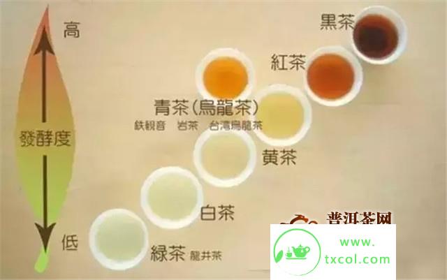 爱茶人必知的最全茶叶冲泡法